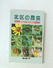 北区の昆虫昆虫フィールドガイド
