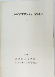ほ場整備関係遺跡発掘調査報告書　VIII-5