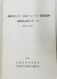 一般国道8号(長浜バイパス)関連遺跡　発掘調査報告書VI　1989