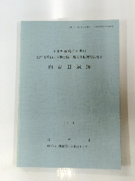 向台 II 遺跡　1991