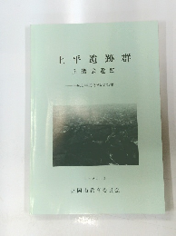 上平遺跡群上猪去遺跡