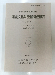 埋蔵文化財発掘調査報告