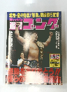 週刊ゴング　1996年8月号