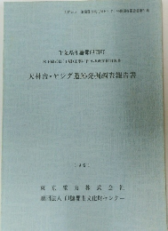 天神台・ヤジダ遺跡発掘調査報告書　1991年
