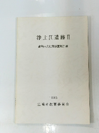 浄土江遺跡 Ⅱ　1993年