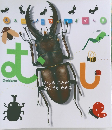 むし　むしのことが なんでもわかる