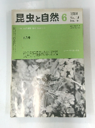 昆虫と自然　１９８４年６月号　Vol.19　No.6
