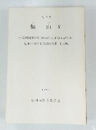 脇山 V　344　1993年　