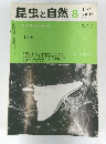 昆虫と自然  1984年8月号