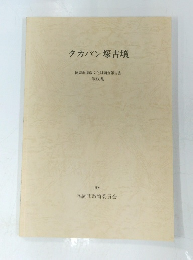 タカバン塚古墳　３３５　１９９３年