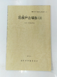 羽根戸古墳群(3)