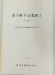 拾六町平田遺跡　１９９３年2月号