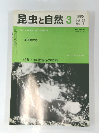昆虫と自然3　1985年