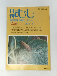 むし　1982年6月号