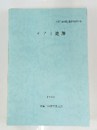 チアミ遺跡　1989