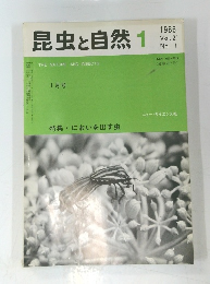昆虫と自然　1986年1月号　Vol. 21 No. 1