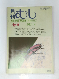 月刊むし　1982年4月号