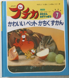 プチカ　1995年７月