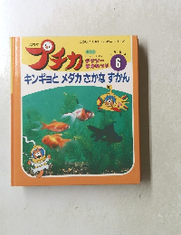 
プチカ 1995年6月号