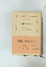 苦悩の中をゆく　1