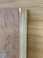 岩内古宇郡医師会史