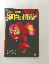 植物の図鑑