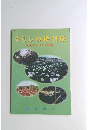 くらしの便利帳　平成10・11年度版
