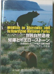Wildlife in Shiretoko and Yellowstone National Parks