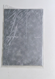 ダブル・ミーニング　Yes or No?