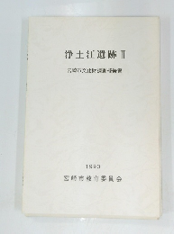 浄土江遺跡Ⅱ宮崎市文化財調査報告書