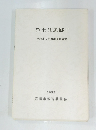 浄土江遺跡Ⅱ宮崎市文化財調査報告書