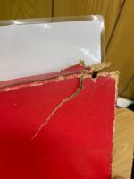 セゴビア・テクニック