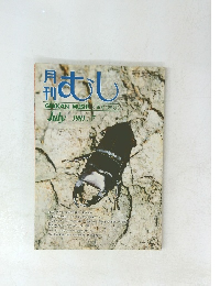月刊 むし　1981年7月号