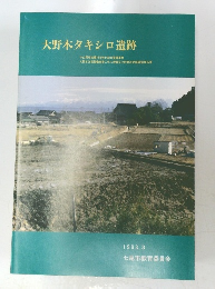 大野木タキシロ遺跡