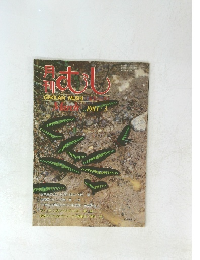 月刊むし　１９８１年3月号