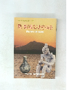 青い森の縄文人とその社会