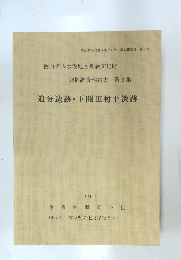 追分遺跡・下開田村平遺跡　1992