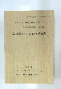 追分遺跡・下開田村平遺跡　1992