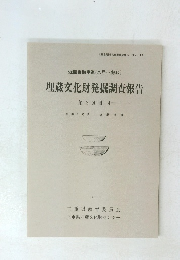 埋蔵文化財発掘調査報告 第 3 分冊 4