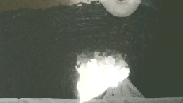 能の雅狂言の妙　国立能楽堂コレクション展