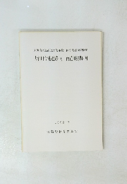 大和川今池遺跡・X 南花田遺跡・VI 1992.3