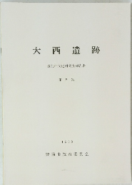 大西遺跡　第5集 1988