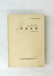 森南遺跡　１９９０年