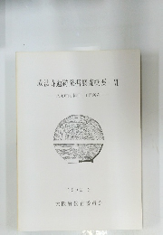 成法寺遺跡発掘調査概要・VI-八尾市南本町1丁目所在　1992年3月号