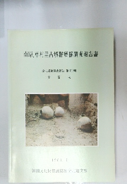 南原,草村里古墳群發掘調査報告書　１９８１年１月号