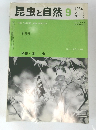 昆虫と自然　1984年9月号　Vol.19No.10