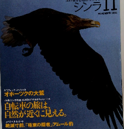 シンラ　1994年11月号