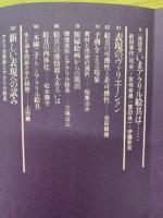 美術手帖　1979年4月号増刊　アクリル画材料と表現