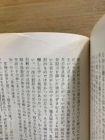 川合山月と明治の文学者達　正・続