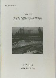 野洲町内遺跡発掘調査概要　1991年3月号
